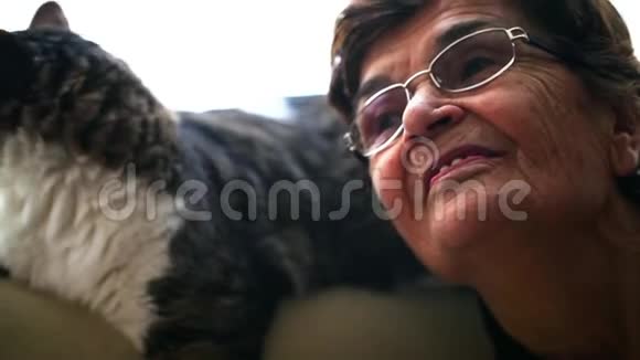 老年妇女和猫视频的预览图