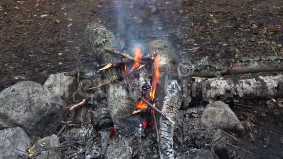 大火把森林边缘的烧伤扑灭了视频的预览图