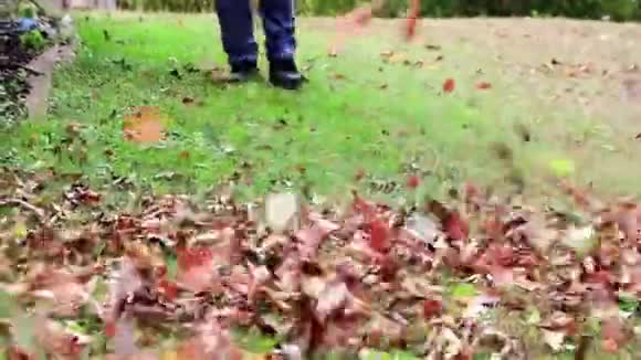 吹叶机把草地上的五颜六色的叶子弄得模糊不清视频的预览图