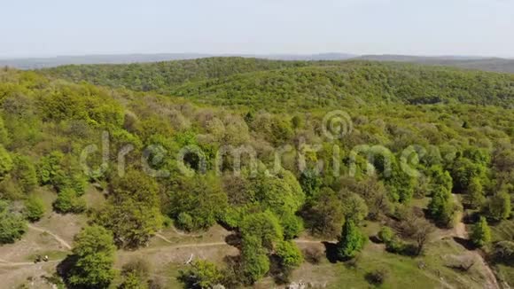 俯瞰森林地区麦金山罗马尼亚多布罗加视频的预览图