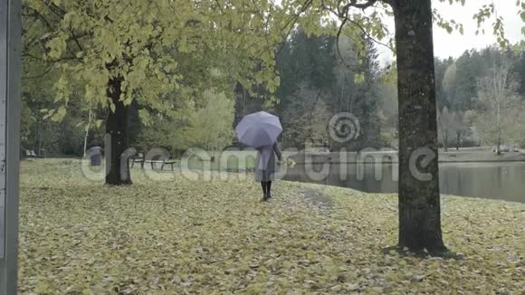 秋天美丽的黄色树叶一个戴着紫罗兰色围巾的孤独女子慢慢地走进秋天的公园视频的预览图