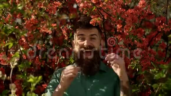 在春暖花开的公园里笑着长胡子的男人园丁的概念留着新发型摆着盛开花朵的大胡子视频的预览图