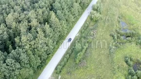 汽车经过一段靠近森林的道路视频的预览图