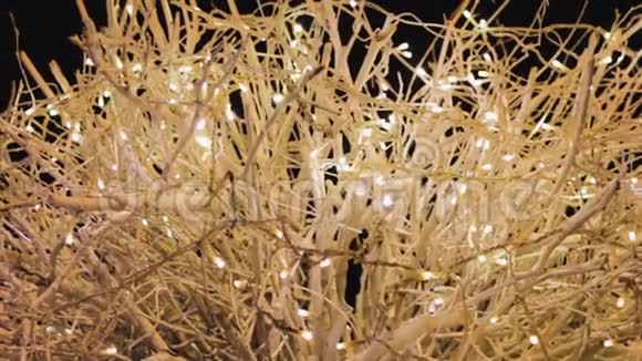 美丽的树木花环白色装饰假日魔法视频的预览图