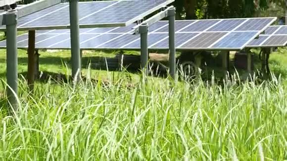 阳光明媚的日子太阳能电池板覆盖草地草坪上的一排替代发电厂产生生态能源养护视频的预览图