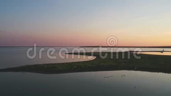 白色的海鸥飞过河上的小岛日落时从高处拍摄视频的预览图