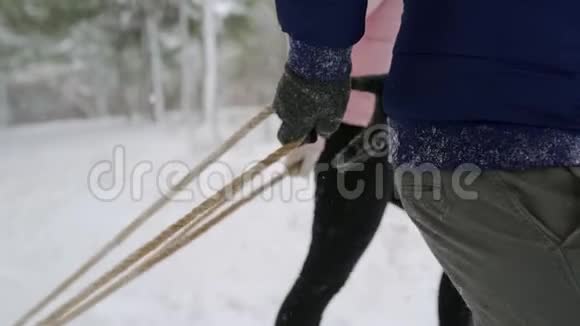 在下雪的冬天男人和女人的手握住并拉着雪橇绳近距离观看父母带着孩子的雪橇视频的预览图