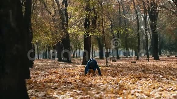 孩子在秋天公园扔黄叶快乐的小男孩玩秋天的树叶在缓慢的运动中投掷树叶视频的预览图