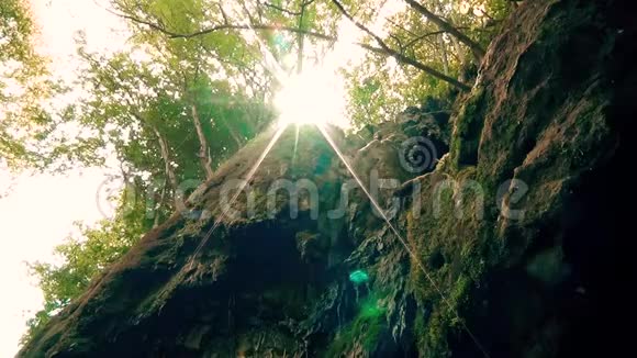 太阳在山上的山脊上穿过树枝视频的预览图