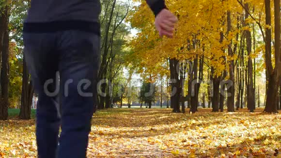 他沿着城市公园的树巷跑黄色的枫叶在晴天秋天落下快乐和满足的人视频的预览图