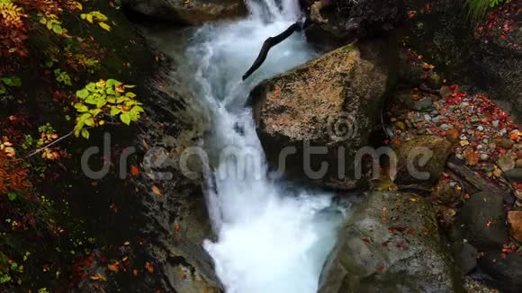美丽的秋季清澈的水流穿过岩石视频的预览图