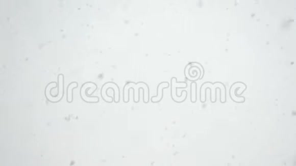雪在天空中快速落下视频的预览图