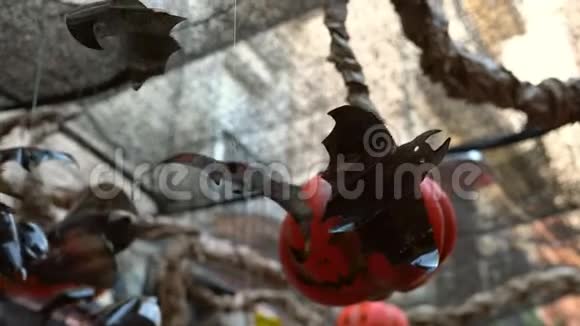 万圣节装饰蝙蝠南瓜用塑料瓶塑料袋制成视频的预览图