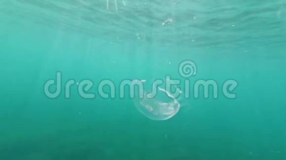 用动作摄像头偷拍一个带着水母在水下戴面具的人视频的预览图