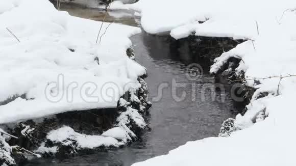 雪下的冬溪视频的预览图