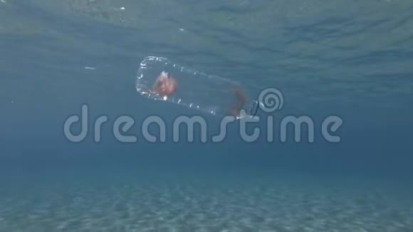 塑料污染水母在阳光下慢慢漂浮在蓝色水面下的塑料瓶里传播视频的预览图