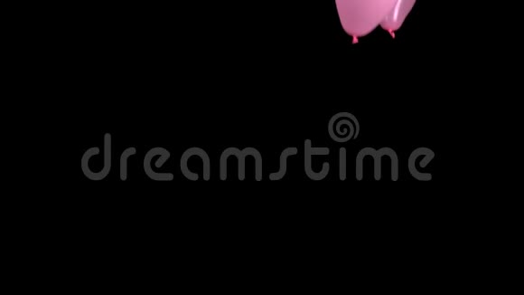 喜庆的粉红色气球落在黑色的背景上慢动作视频的预览图