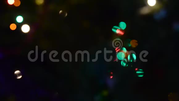 一棵云杉树的枝条上的针在风中移动迎着街道上喜庆的花环迎接新年视频的预览图
