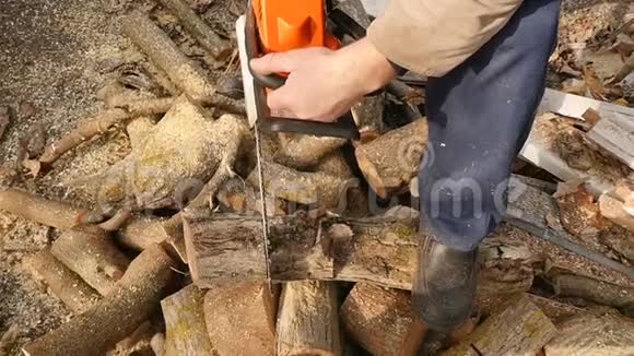 有经验的伐木工人用电锯砍树慢动作冬季取暖季节收获木柴视频的预览图