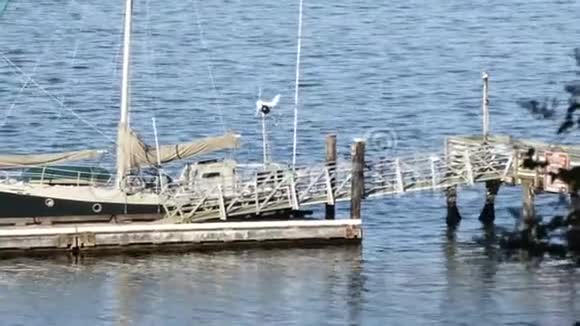 旧船漂浮在水中有一个金属码头视频的预览图