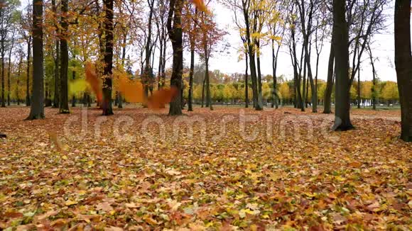 秋天林中的落叶慢动作视频的预览图