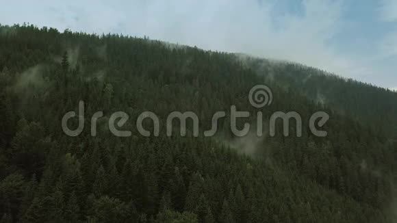 神秘而多雾的无人机在山上的雨林上空飞行近景移动摄像机视频的预览图