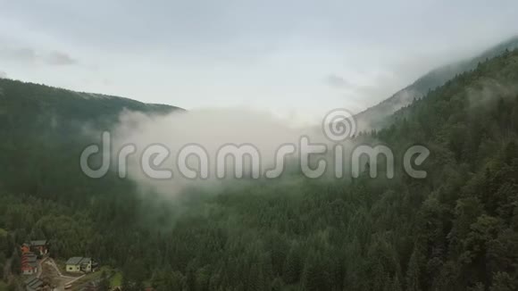 神秘而大雾无人驾驶飞机飞越山林全景观视频的预览图