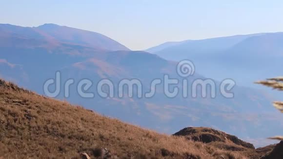玻利维亚安第斯山脉的美丽景色和金草视频的预览图