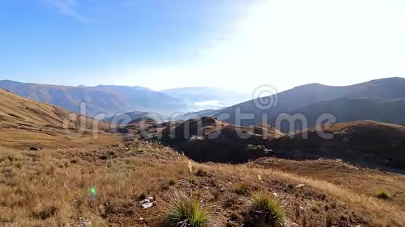 玻利维亚安第斯山脉的金草和美丽景色视频的预览图