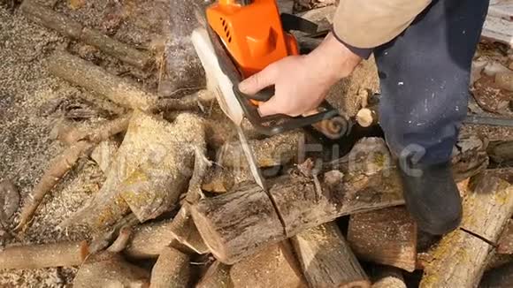一个成年的职业伐木工人用电锯砍树乡村慢动作视频的预览图