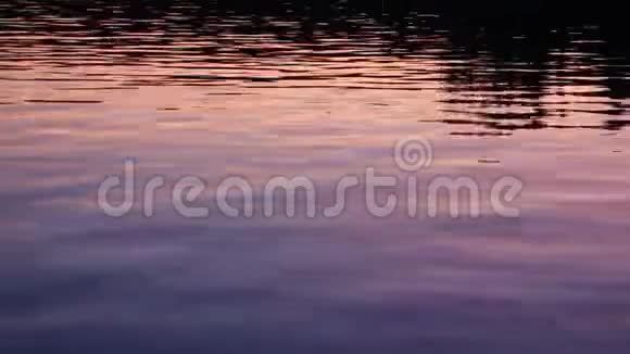 华盛顿湖日落自然背景西雅图美国视频的预览图