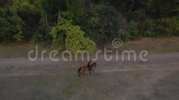 从女人骑着一匹棕色马的高度看户外小跑视频的预览图