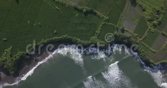 稻田和克敦古海滩的鸟瞰图视频的预览图