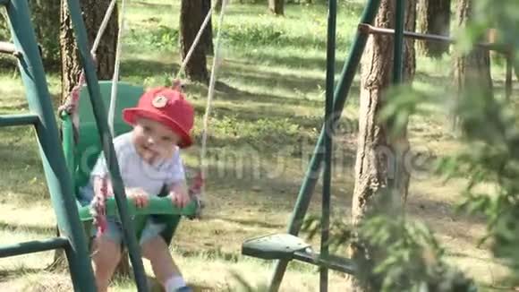 一个满脸蚊虫叮咬的红色巴拿马小宝宝正骑在公园的秋千上树上挂着树视频的预览图