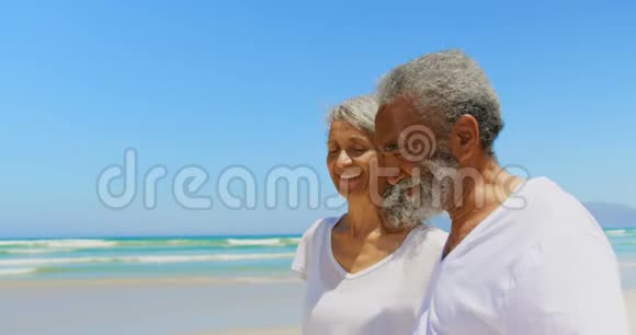在阳光4k的沙滩上散步的快乐活跃的老年非裔美国夫妇的侧面景色视频的预览图