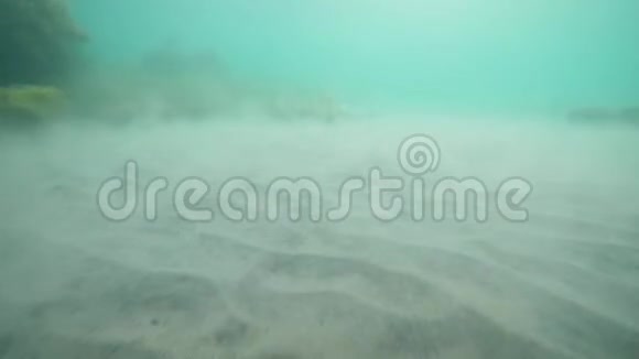 用海藻和海草封闭海底沙质海底景观视频的预览图