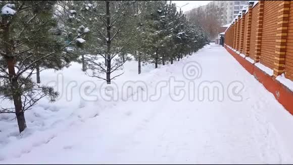 冬季降雪期间沿植有云杉树和现代漂亮砖墙的雪覆盖小巷4K摄像机移动视频的预览图