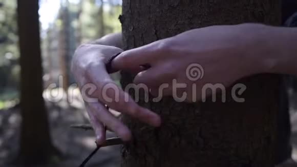 在夏季阳光建筑的森林中在树干周围铺设绳索视频的预览图