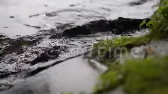 德国自然阴天湖草山上的近波视频的预览图