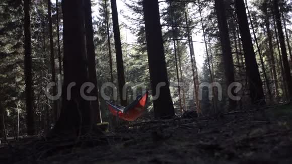 年轻人在森林里的两棵树之间用橙色的吊床铺着美丽的夏光视频的预览图
