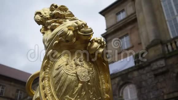 金狮雕像靠近卡塞尔德国日光视频的预览图