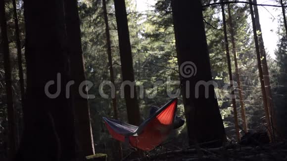 年轻人在森林里的两棵树之间用橙色的吊床铺着美丽的夏光视频的预览图