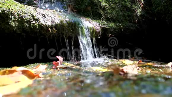 一个小小的苔藓的瀑布和弹跳的水滴视频的预览图