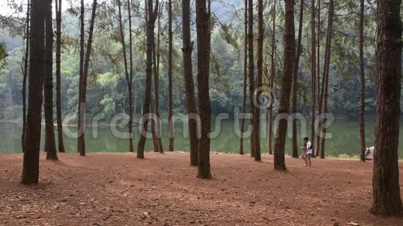 泰国情侣旅行参观松林和庞恩格湖内散步放松视频的预览图