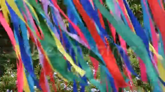 彩色彩虹纸片在园林室外的运动视频的预览图