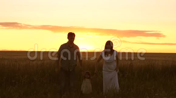 妈妈宝贝和爸爸正在日落时牵着手走在麦田上父亲女儿和母亲在野外玩耍视频的预览图