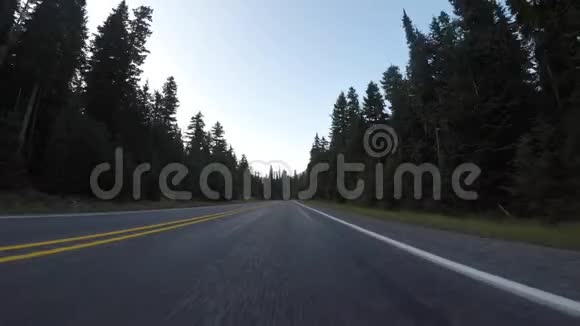 松树线山路视频的预览图