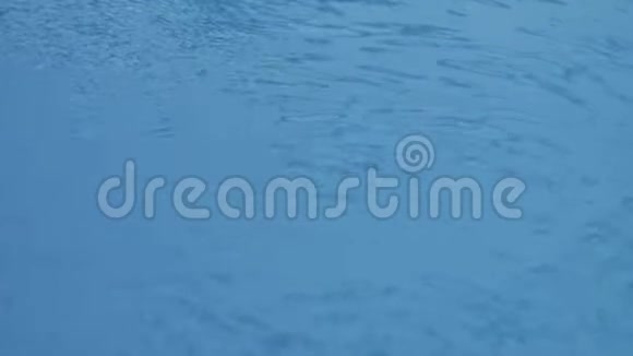 一个女人的手在蓝色清澈的水中浸泡着游泳眼镜视频的预览图