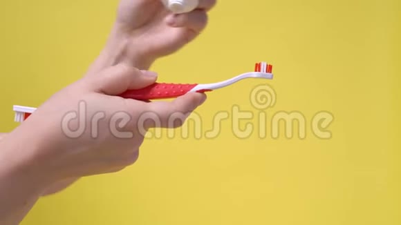 主人把牙膏放在动物专用牙刷上背景是黄色的预防菌斑的牙科护理宠物保健视频的预览图