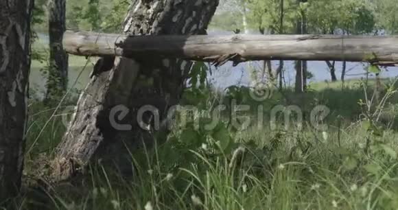 4湖附近的K长圆木视频的预览图